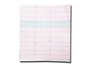 Papier do KTG CMS 800g - 1